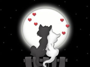 C ���� ������� ���������!